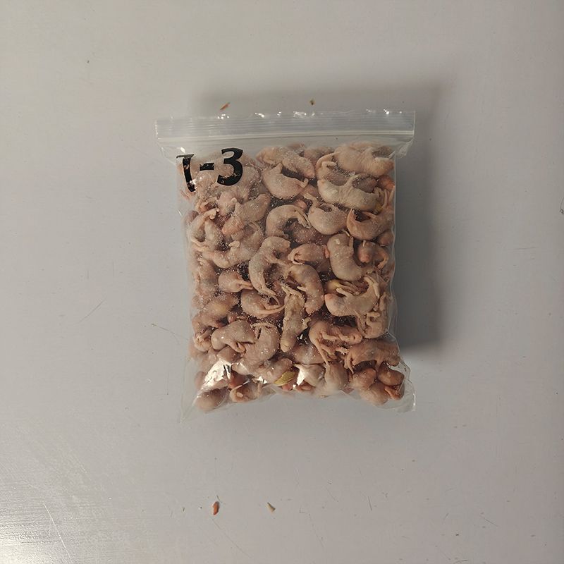 Muzlatilgan pinkie kalamushlar