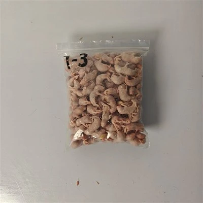 Muzlatilgan pinkie kalamushlar